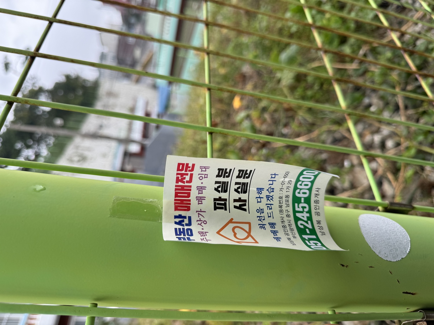 IMG_9823.jpeg